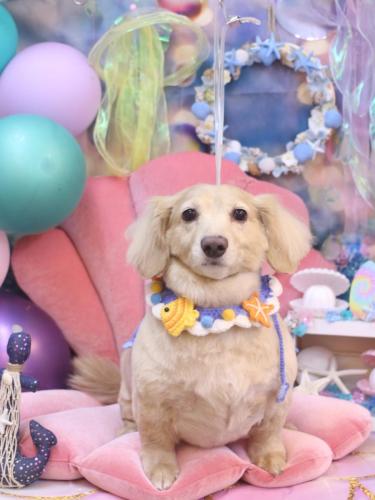 20240807テヤンくん